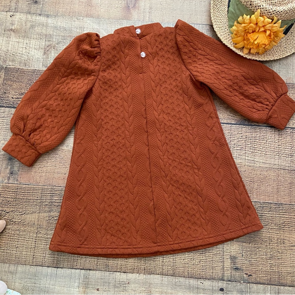 Dress Adorable Knit Rust Puff Sleeve Mock Neck Dress - Picture 7 of 10